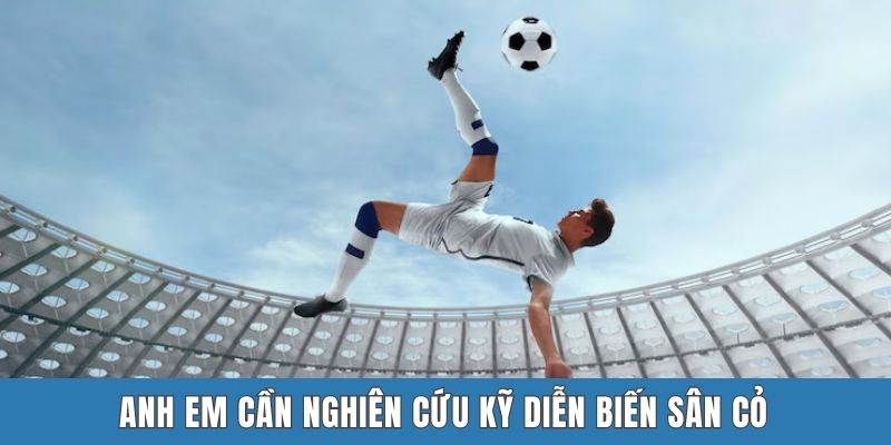Anh em cần nghiên cứu kỹ diễn biến sân cỏ