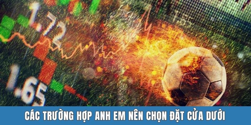 Các trường hợp anh em nên chọn đặt cửa dưới