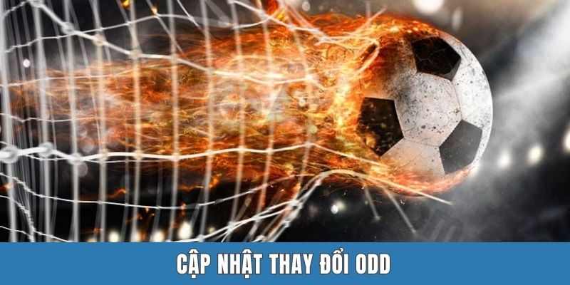 Cập nhật thay đổi odd