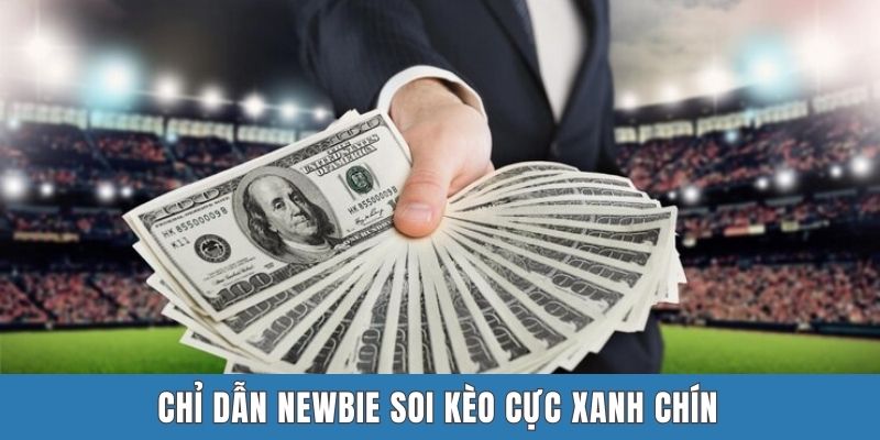 Chỉ dẫn newbie soi kèo cực xanh chín
