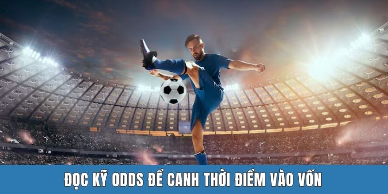 Đọc kỹ odds để canh thời điểm vào vốn
