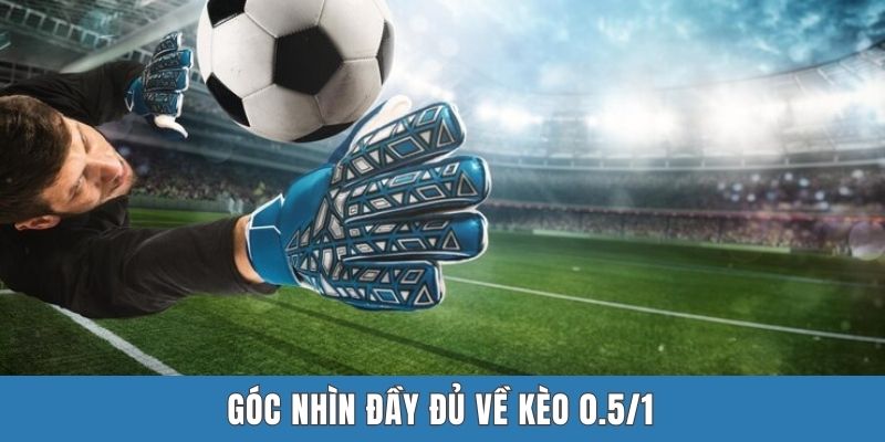 Góc nhìn đầy đủ về kèo 0.5/1