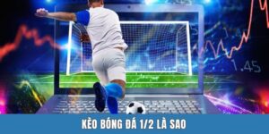 Kèo Bóng Đá 1/2 Là Sao? Giải Mã Từng Ngóc Ngách Cho Newbie