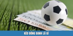 Kèo Đồng Banh Là Gì - Khám Phá A - Z Tỷ Lệ Sports Betting