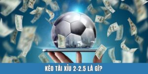 Kèo Tài Xỉu 2-2.5 Là Gì? Phân Tích Chi Tiết Cho Tân Thủ