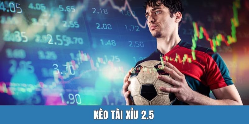 Kèo Tài Xỉu 2.5 Là Gì? Giải Mã Toàn Diện Cho Tay Chơi