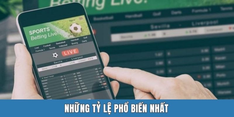 Những tỷ lệ phổ biến nhất
