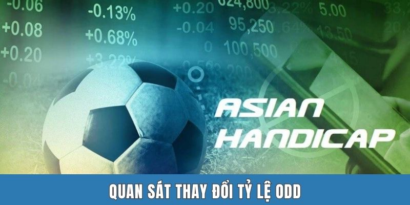 Quan sát thay đổi tỷ lệ odd