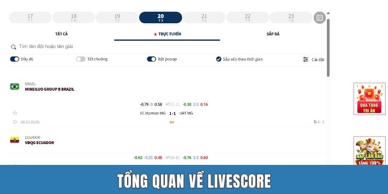 Tổng quan về livescore