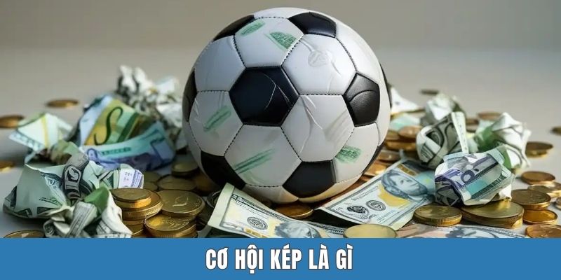 Cơ hội kép là gì