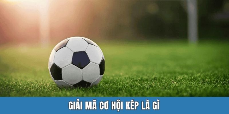 Giải mã cơ hội kép là gì