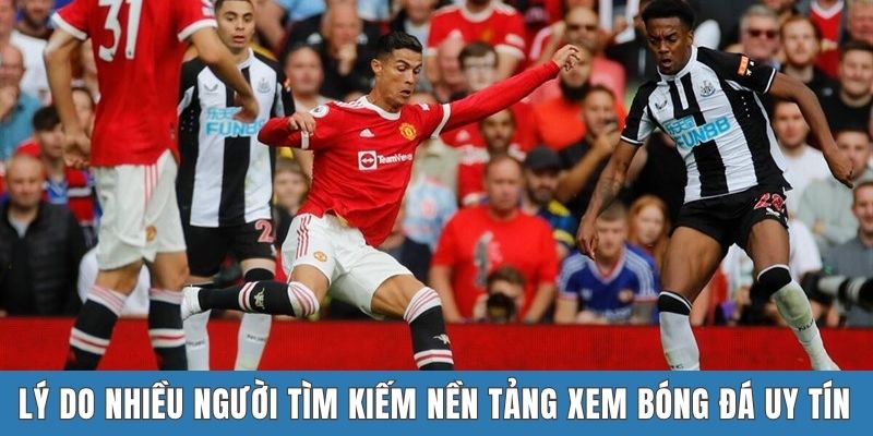 Lý do nhiều người tìm kiếm nền tảng xem bóng đá uy tín