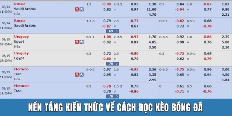 Nền tảng kiến thức về cách đọc kèo bóng đá