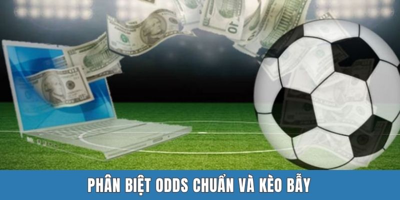Phân biệt odds chuẩn và kèo bẫy