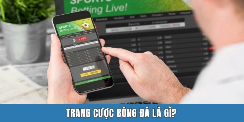 Trang cược bóng đá là gì?