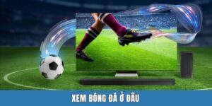 xem bóng đá ở đâu